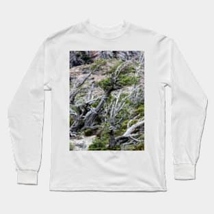 Windswept Woodland Long Sleeve T-Shirt